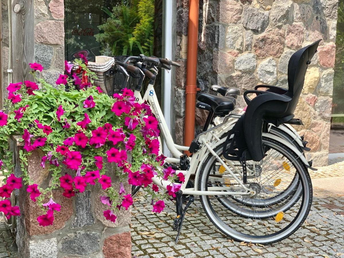 Hotel Albatros Serwy Exteriör bild
